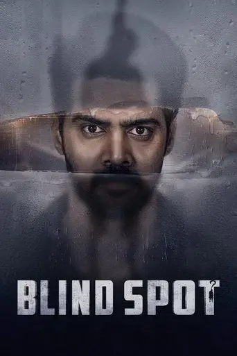 Blind Spot (2025) WEB-DL [Hindi (DD2.0) & Telugu] 1080p 720p & 480p Dual Audio [x264/10Bit-HEVC] | Full Movie