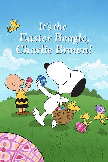 It’s the Easter Beagle, Charlie Brown! (1974) WEB-DL Dual Audio [Hindi DD5.1 & English] 1080p 720p 480p [x264] HD | Full Movie